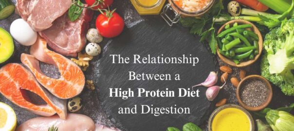 The-relationship-Between-a-high-Protein-Diet-and-Digestion