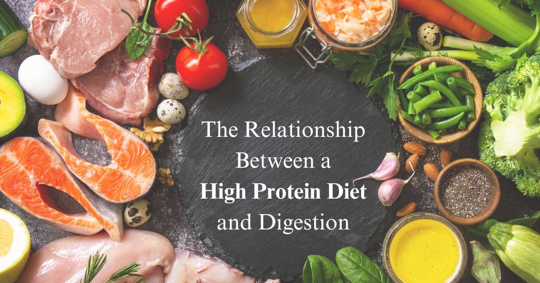 The-relationship-Between-a-high-Protein-Diet-and-Digestion